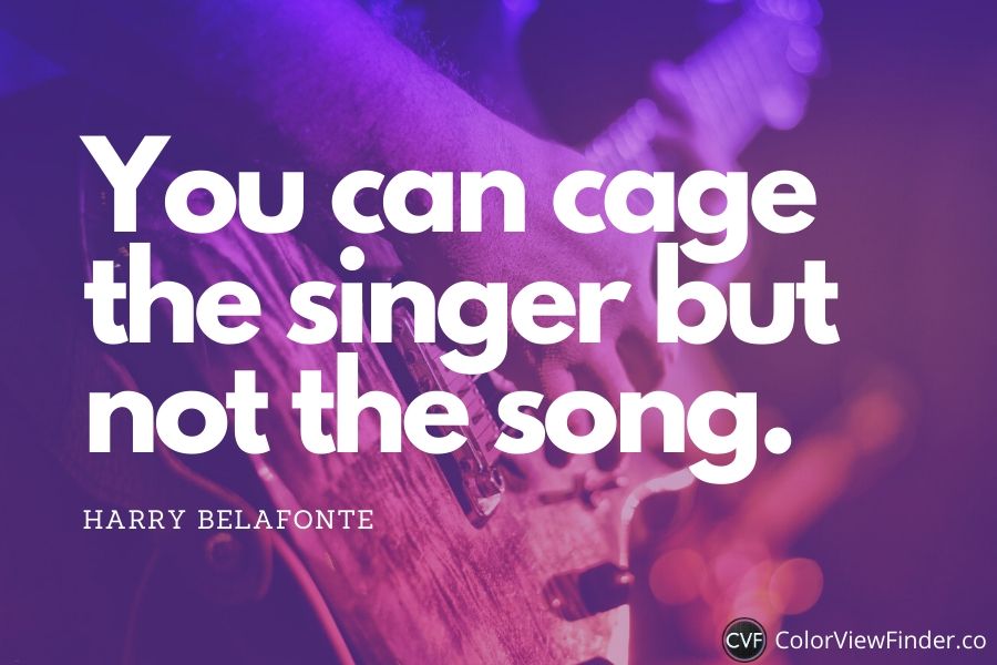 Short Music Quote - You can cage the singer but not the song